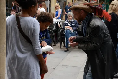 DSC_2614 (Large).JPG